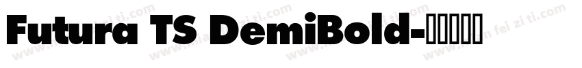 Futura TS DemiBold字体转换